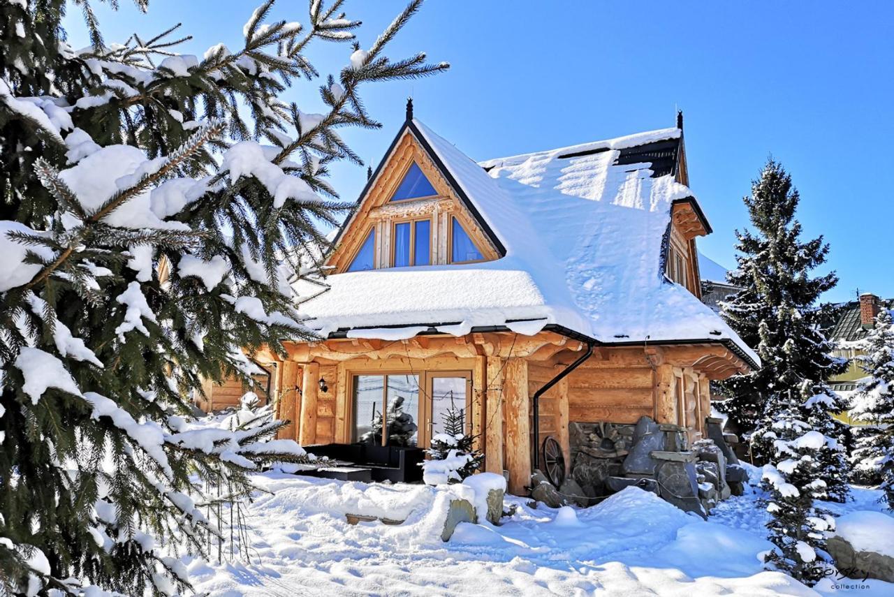Luxury Chalet Villa Gorsky Hanco & Janso Poronin Ngoại thất bức ảnh